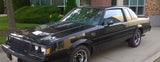 1987 Buick Grand National Black Pre-cut 6 Piece Door Molding Trim Kit